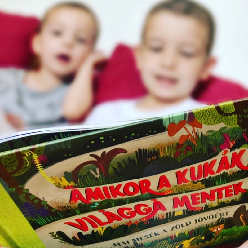 Amikor a kukák világgá mentek –&nbsp;könyvajánló