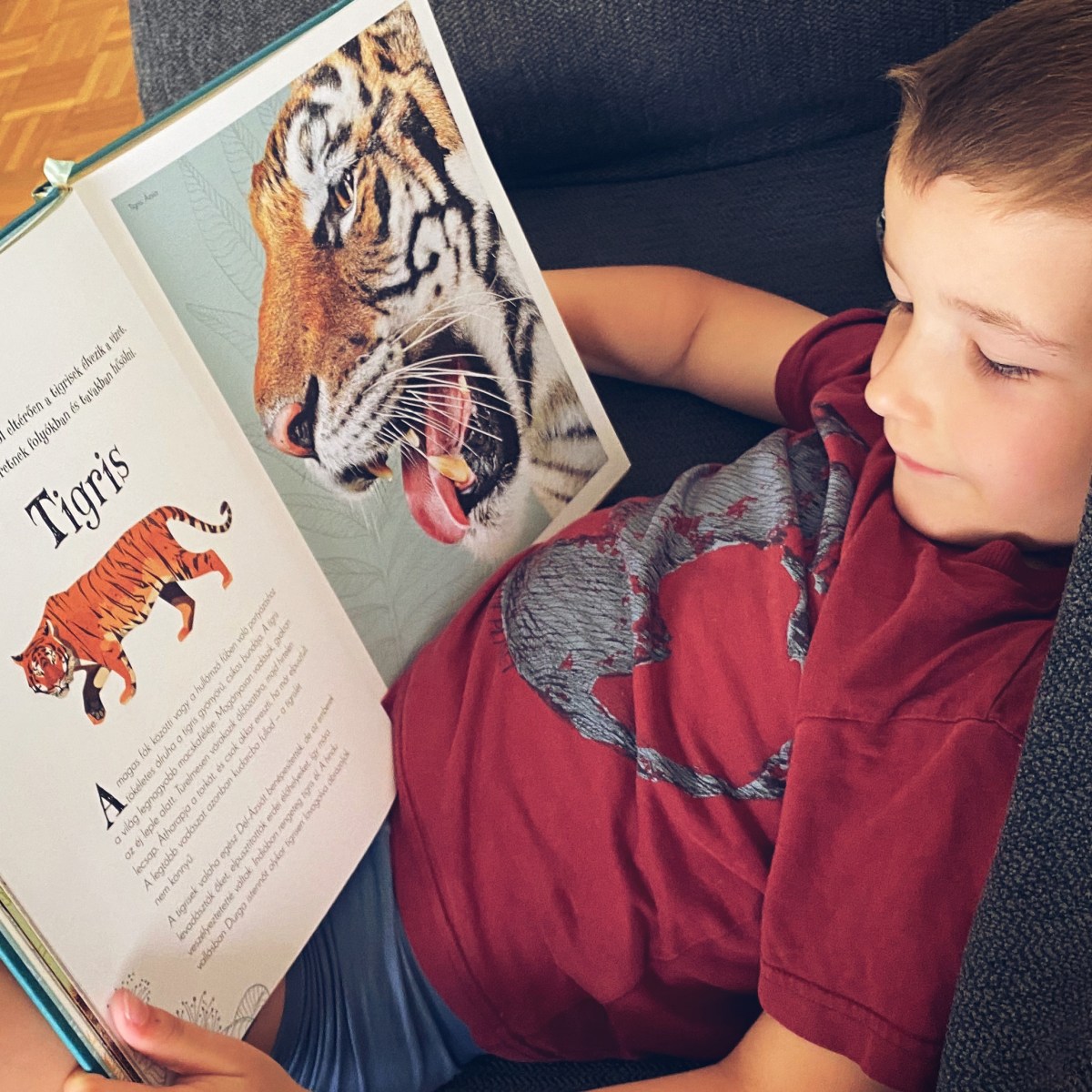 Egy csodálatos könyv az állatokról –&nbsp;könyvajánló